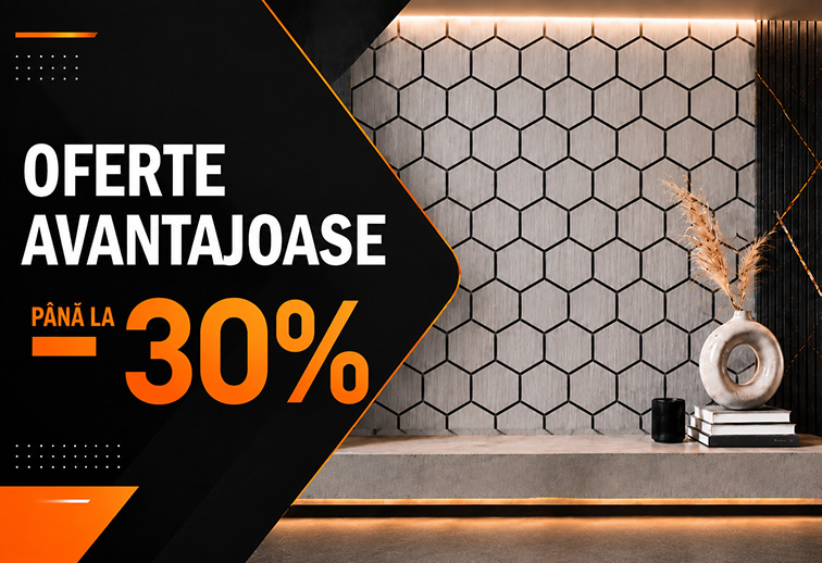 Oferte avantajoase